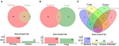 The application of targeted nanopore sequencing for the identification of pathogens and resistance genes in lower respiratory tract infections